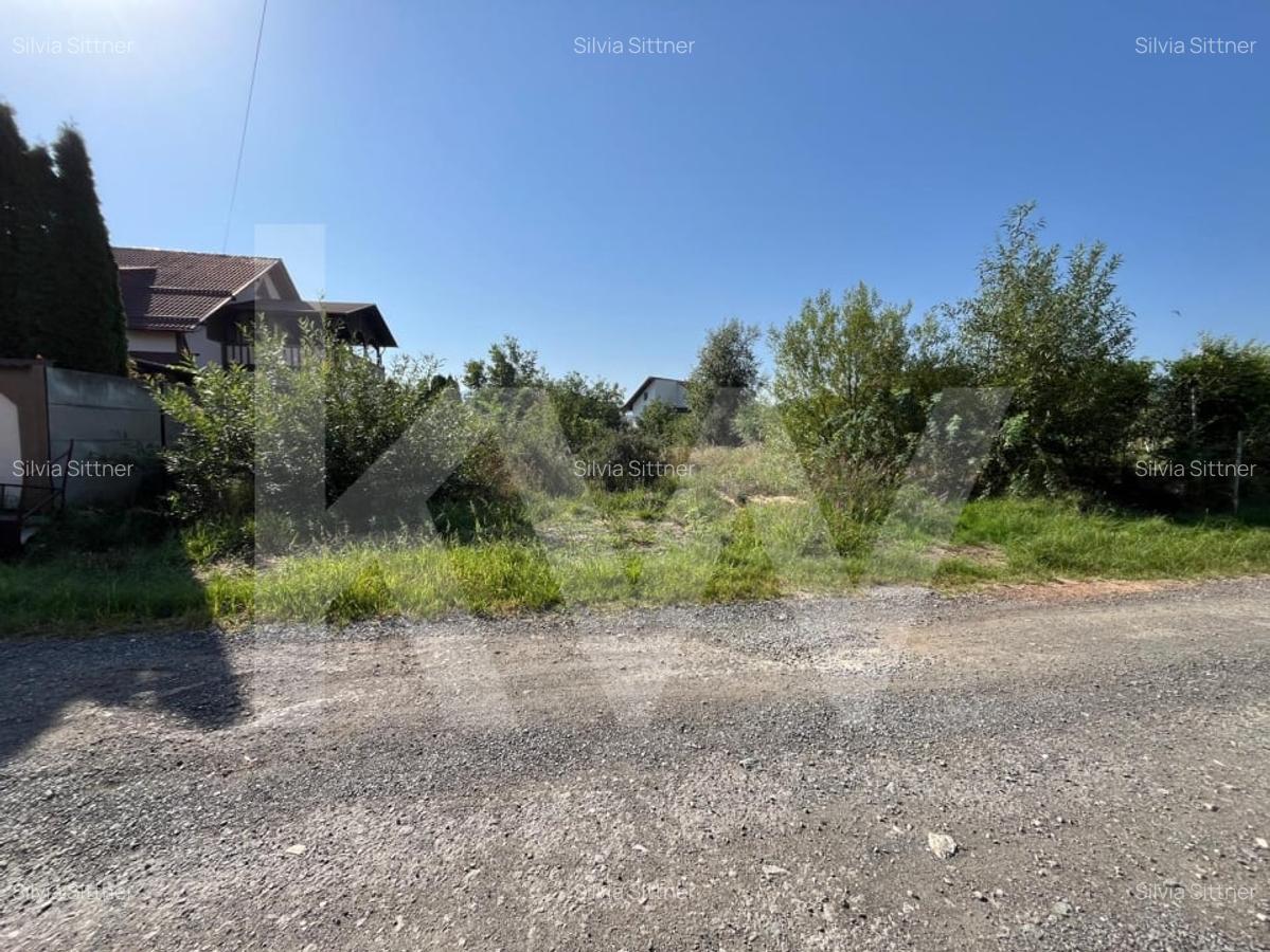 Teren intravilan 1.000 mp de vanzare Talmaciu - 4