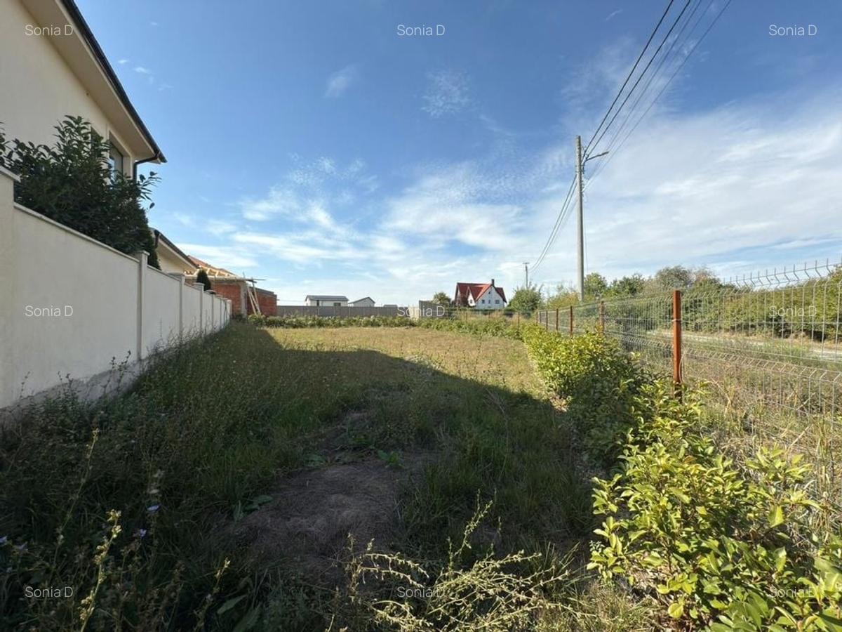 Casa individuala lux cu 5 camere - 395.000 euro - Sag - 36