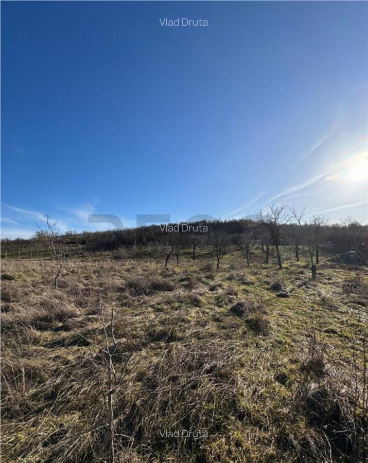 RECO Teren intravilan 2460 mp Santelec - 1