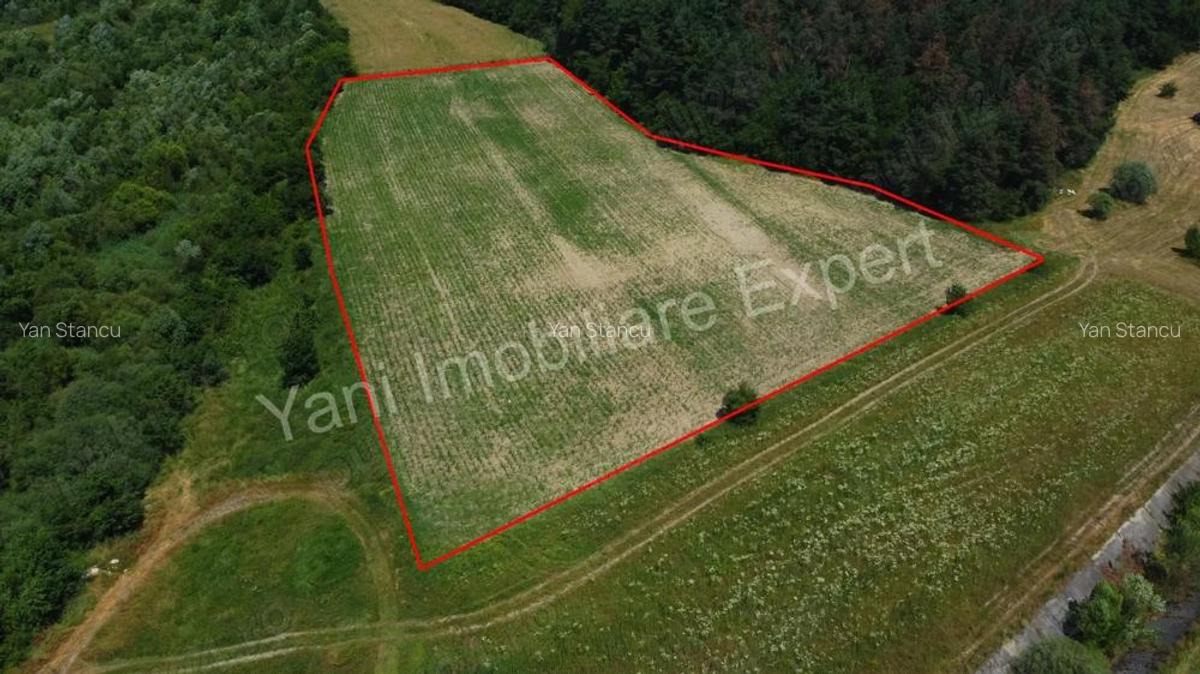 Teren de vanzare in comuna Baicule?ti, Judet Arge?. - 3