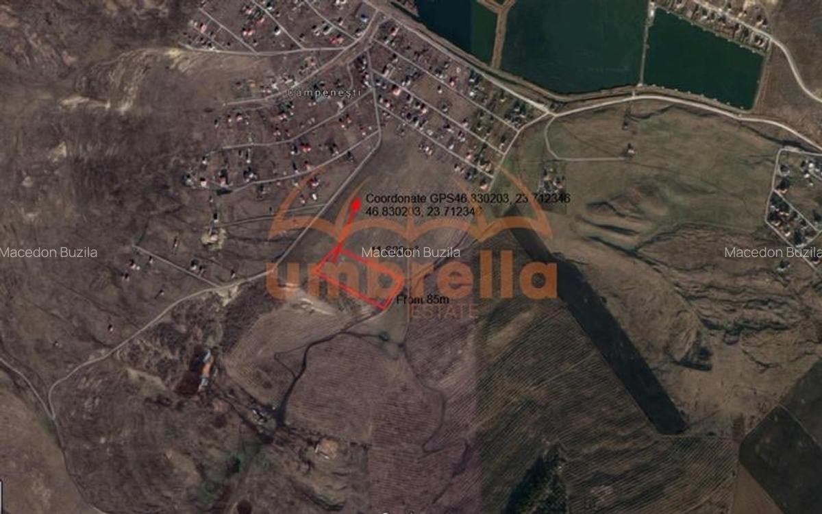 Teren Construcții extravilan de 11600 mp, în Câmpenești - 5