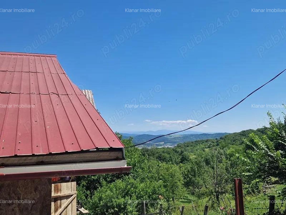 Teren 6926 mp de vanzare in Valea Danului jud Arges - 4