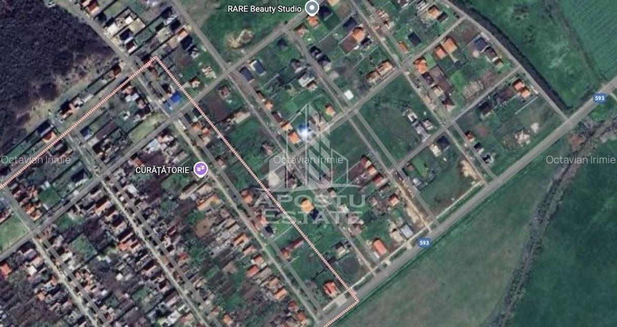 Parcela 1000 mp, vatra satului, case noi, Peciu Nou - 1