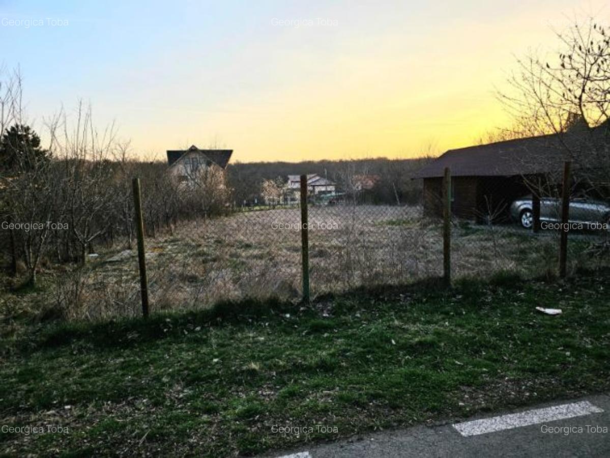 Teren intravilan 1056 mp cu cabană 44 mp, Pasărea – Brănești (Ilfov) - 4