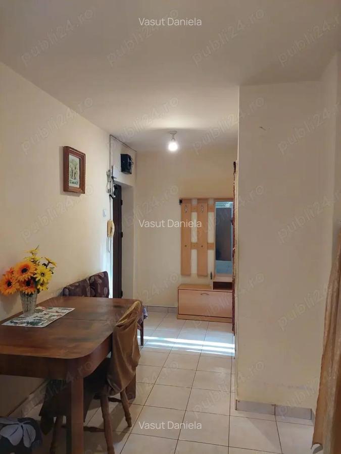 Dau in chirie apartament,doua camere,zona Splaiul Crisanei,52 MP suprafa?a utila,complet mobilat ?i - 6