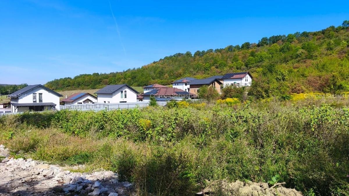 Corunca - 650 mp cu PUZ - zona superba si linistita - 1