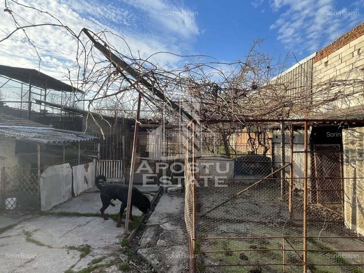 Casa Freidorf - Dambovita langa Alfa - 1