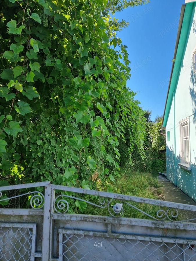 Vand casa cu teren 25 ari, intravilan in Radau?i, str.PANDURILOR - 6