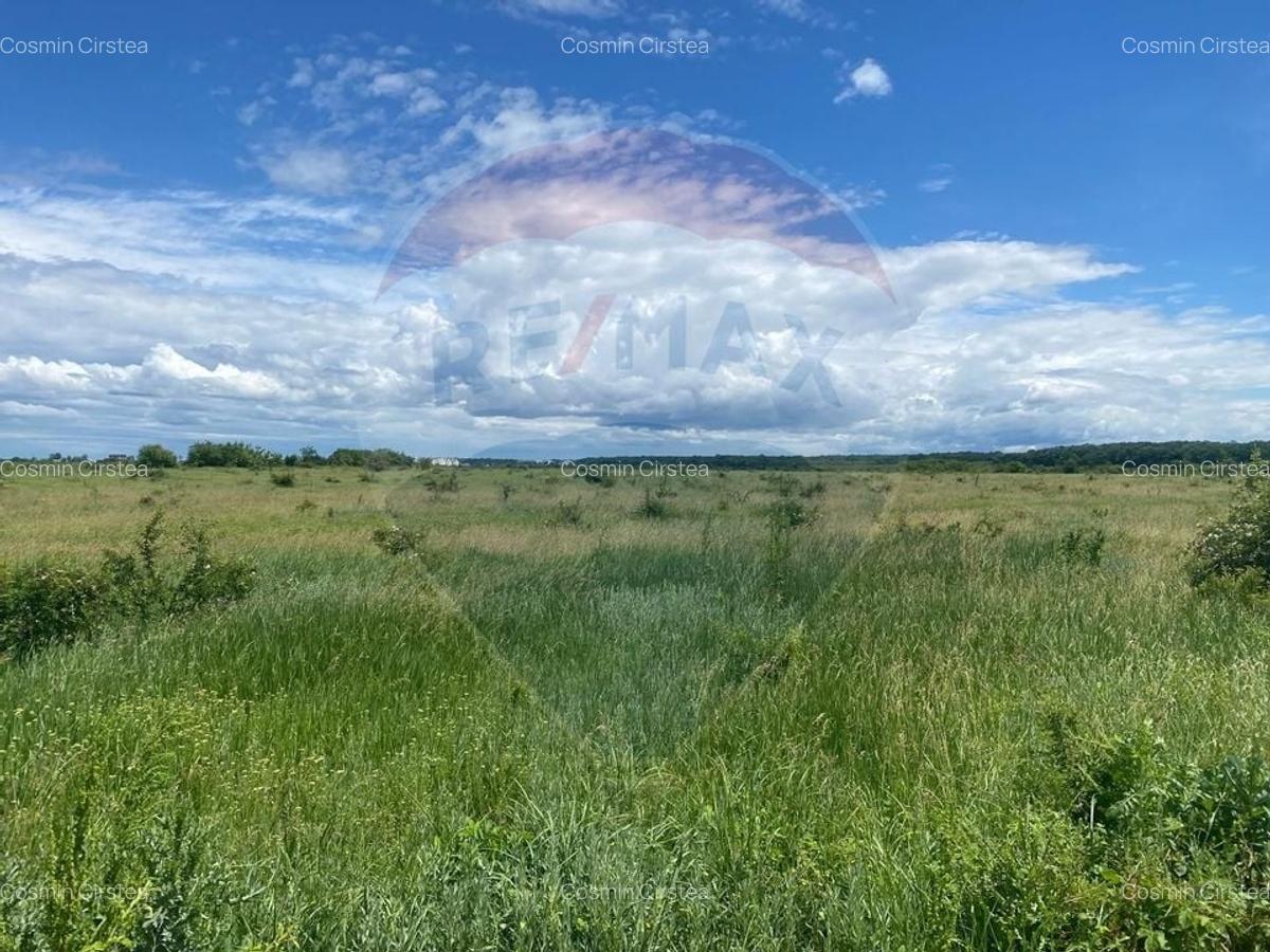 DE VANZARE Teren 5,000mp Sisesti Drumul Piscul Mosului - 6