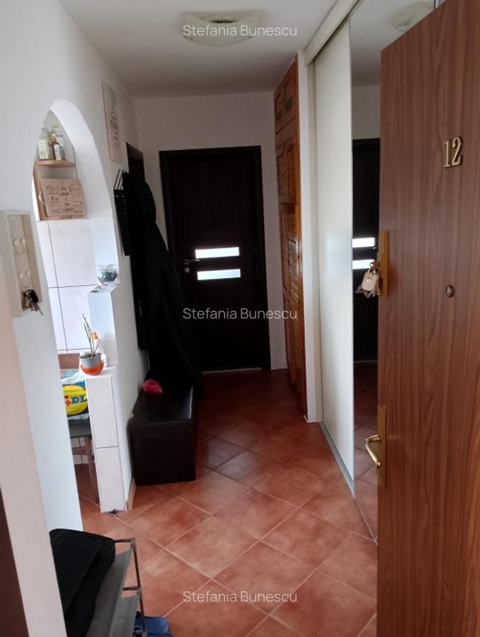 Apartament de vanzare - 2 camere | 47 mp | zona Terezian - 11