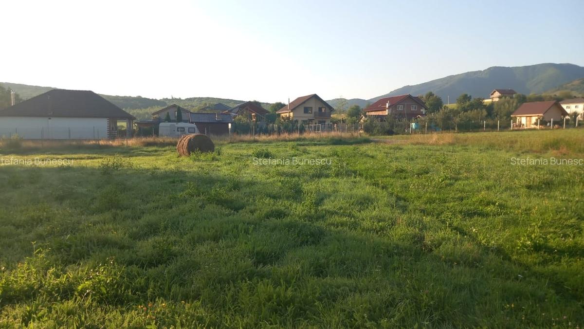Teren intravilan  | 829 mp | de vanzare- Tocile-Sadu - 3