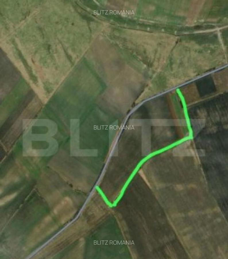 Teren arabil, 25 ha, Giulvaz-Foeni, front stradal 280 ml - 3