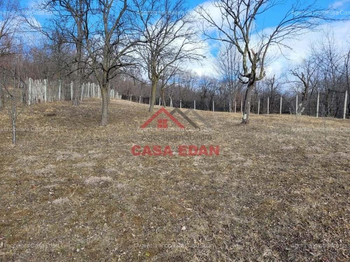 Teren intravilan in Cornu--2991mp--29e - 5