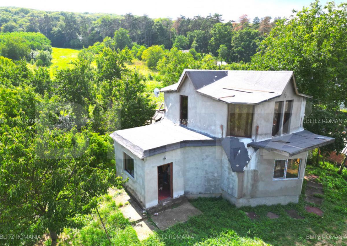 Casa intabulata in Dobrovat - 3