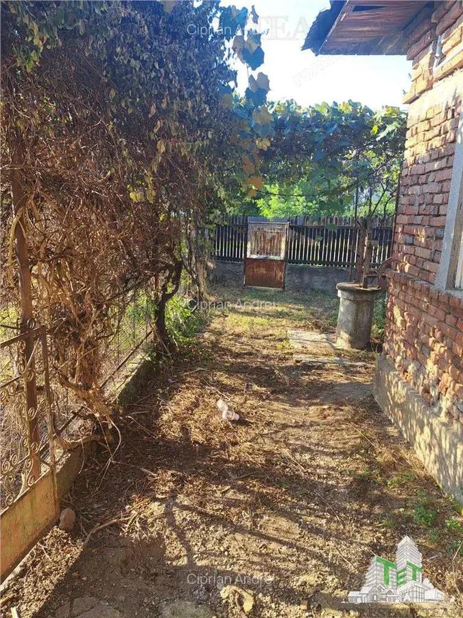 Casa cu teren 3579mp in com. Cascioarele, Jud. Giurgiu - 2