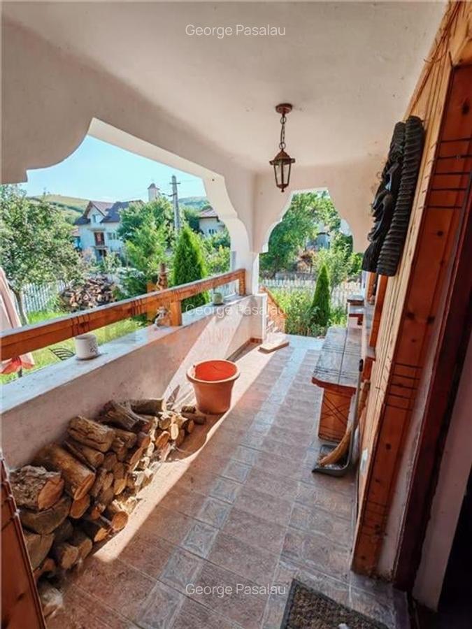 Teren intravilan + casa zona Fintesti - 7