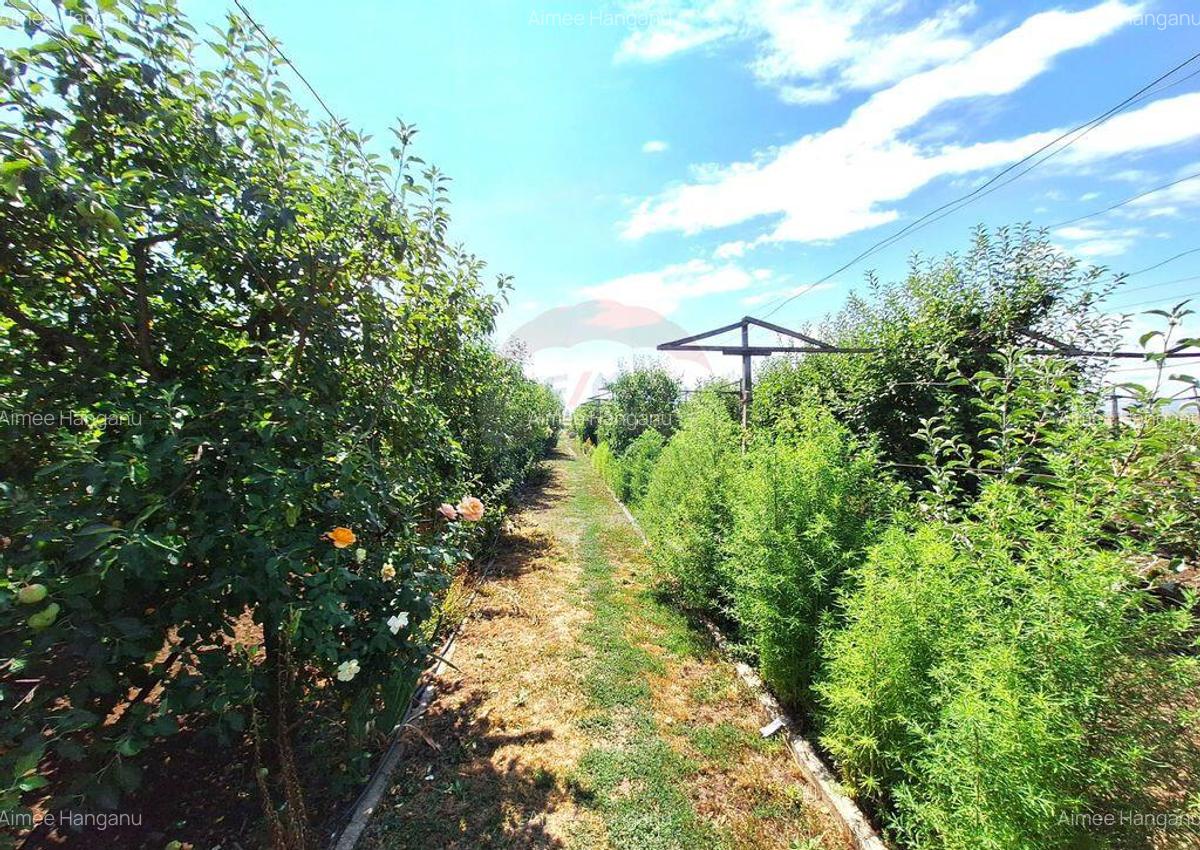 Casa cu teren de vanzare - 11 Casa cu teren de vanzare - 11