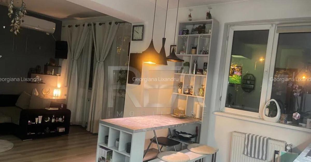 2 camere + Boxa Cartier Brancusi - 8