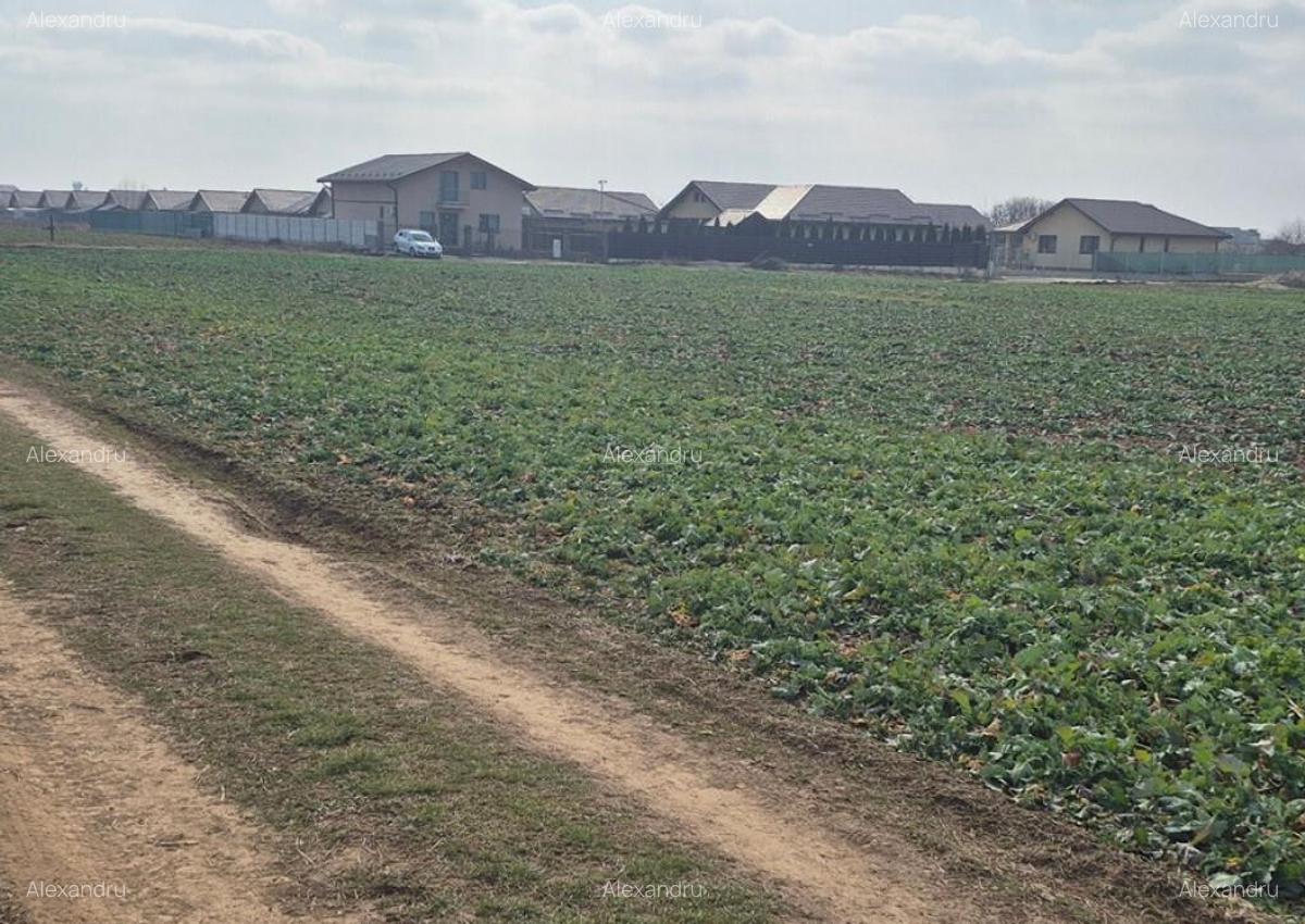 Teren intravilan Balotesti,langa ansamblul Terra si padure, 17000 euro - 4