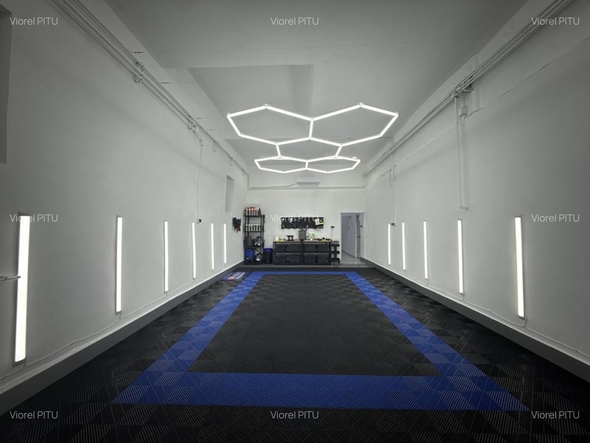 Hala Damaroaia + Curte / De Inchiriat - 3