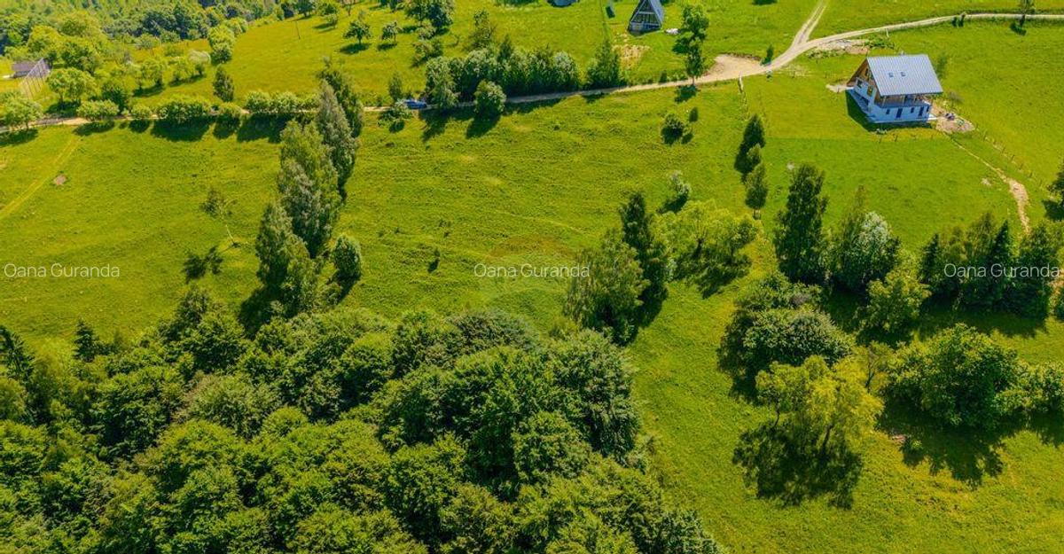 Teren extravilan 2,000mp Pestera / cabana vacanta/natura - 20