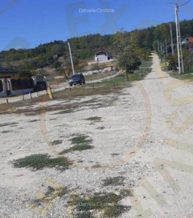 TEREN INTRAVILAN ARGESELU!!! - 6