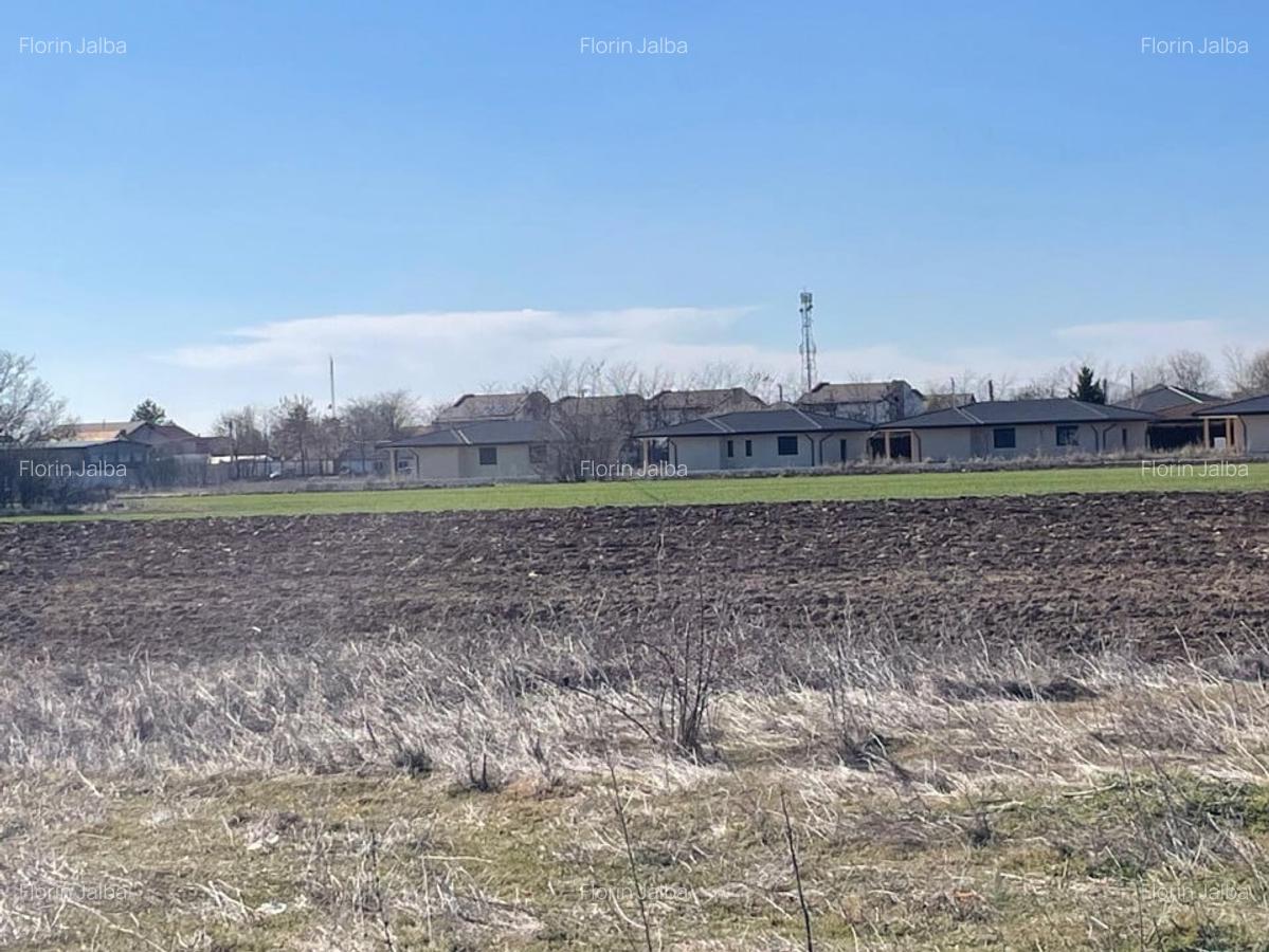 Vanzare | Teren Intravilan 5000 mp | Str. Viitorului | - 5