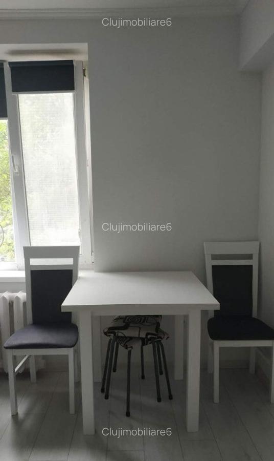 Inchiriere apartament cu 1 camera parcul Armatura - 3