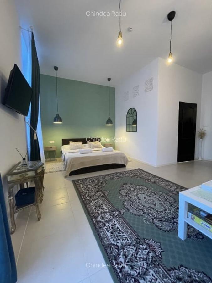 Apartament istoric in Piata Iosefin Amenajat pentru Booking/AirBnb - 10