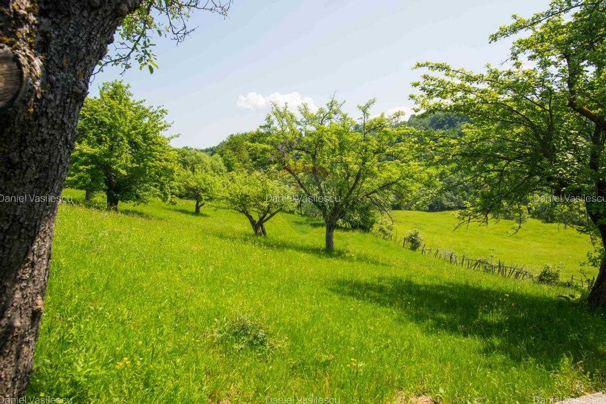 Teren Construcții intravilan de 5495 mp, în Bran - 15