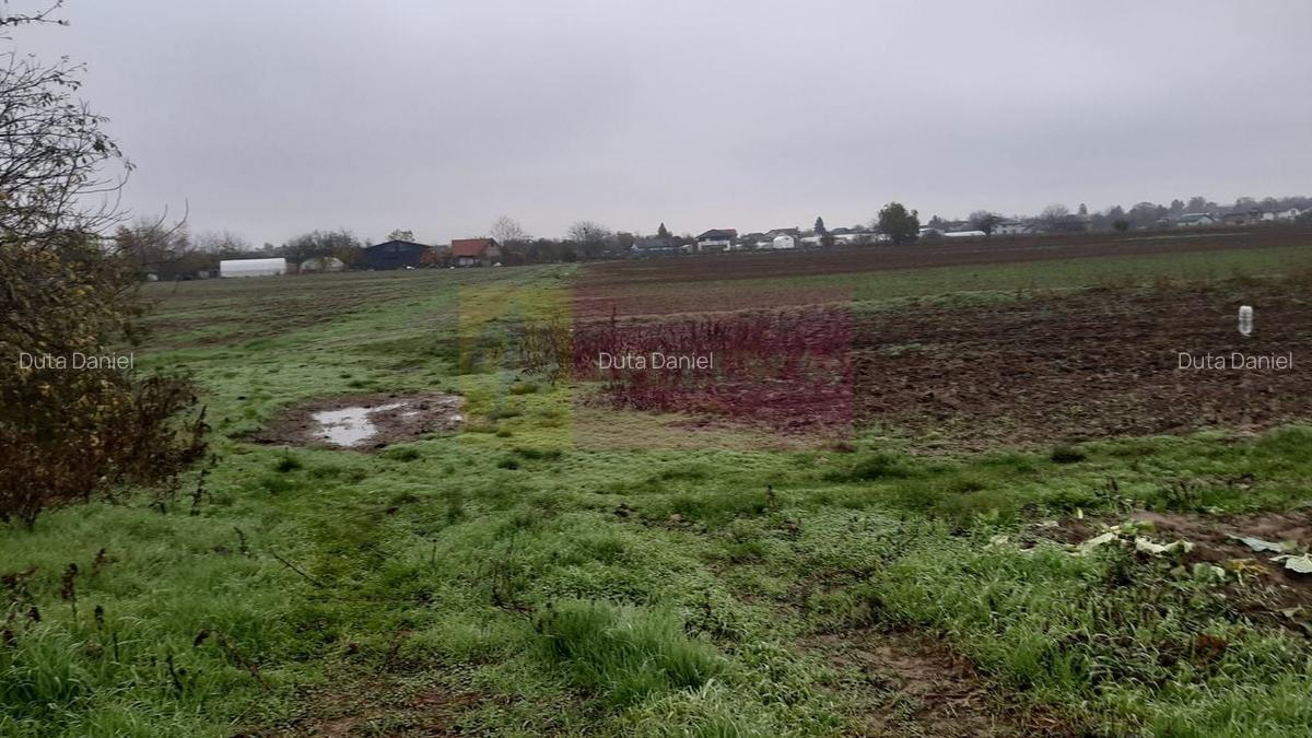 Teren Investiție aproape de București - 7