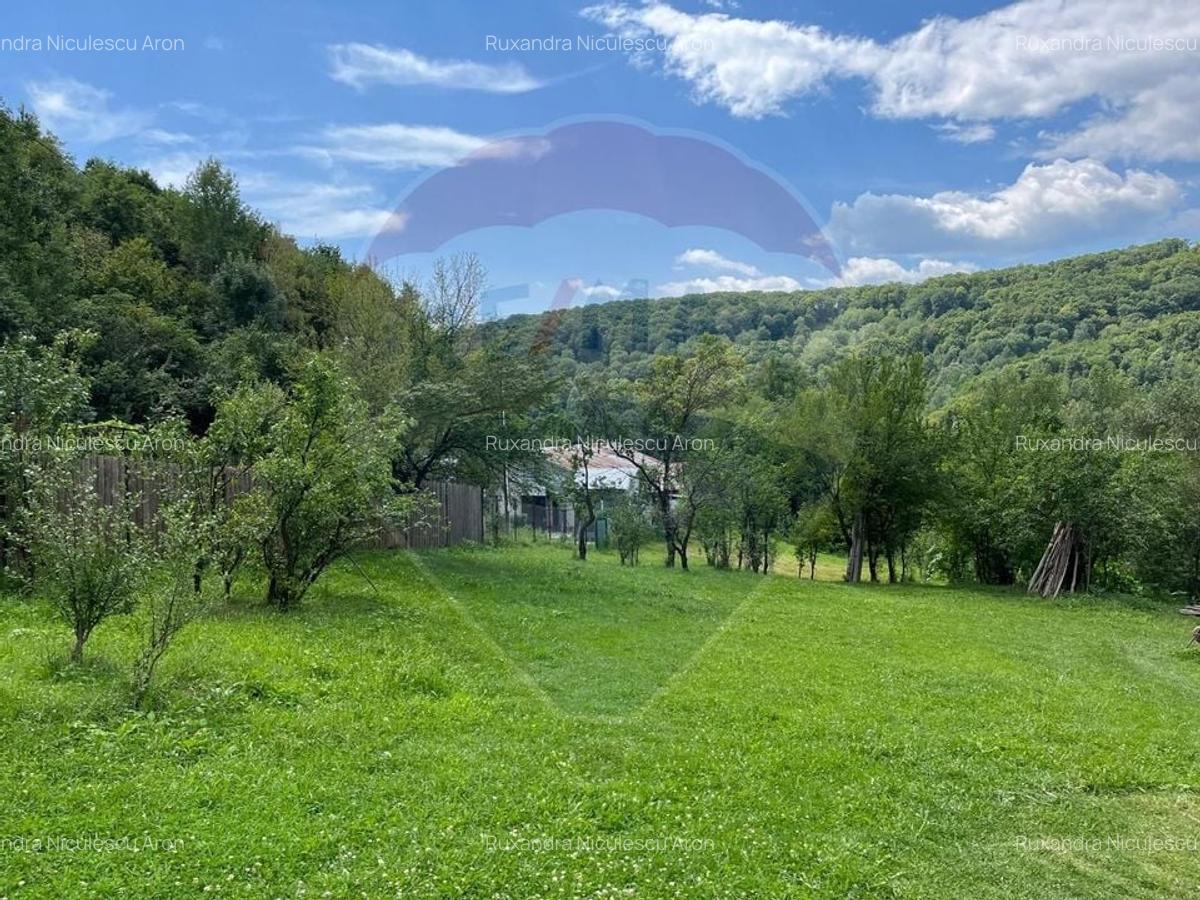Teren intravilan (faneata) de vanzare  - 2231 mp, Telega, jud. Prahova - 2