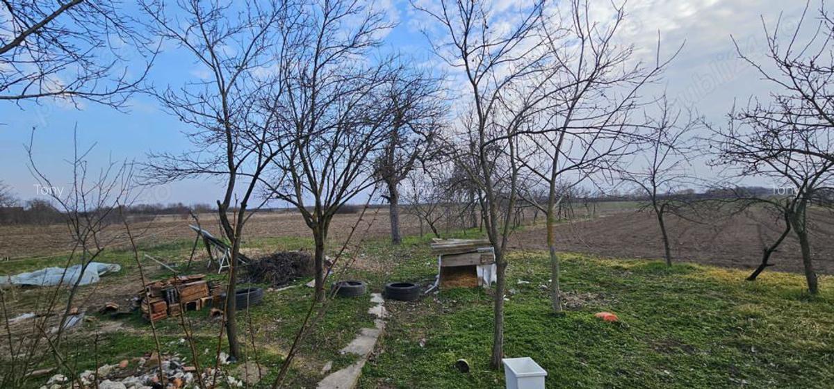 Vand casa si gradina in Satu Nou, Comuna Misca Jud, Arad - 4