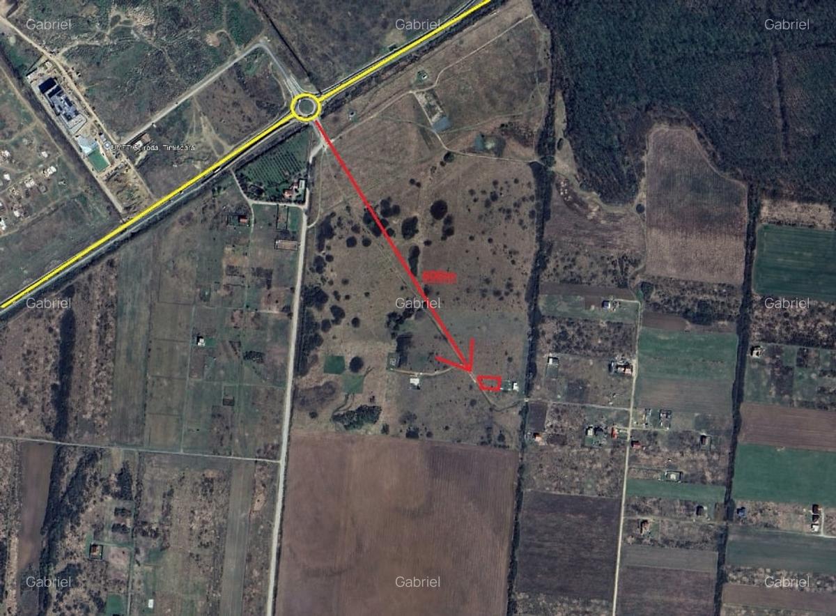 Teren Mosnita Noua - 600m distanta de giratoriu centura - 1