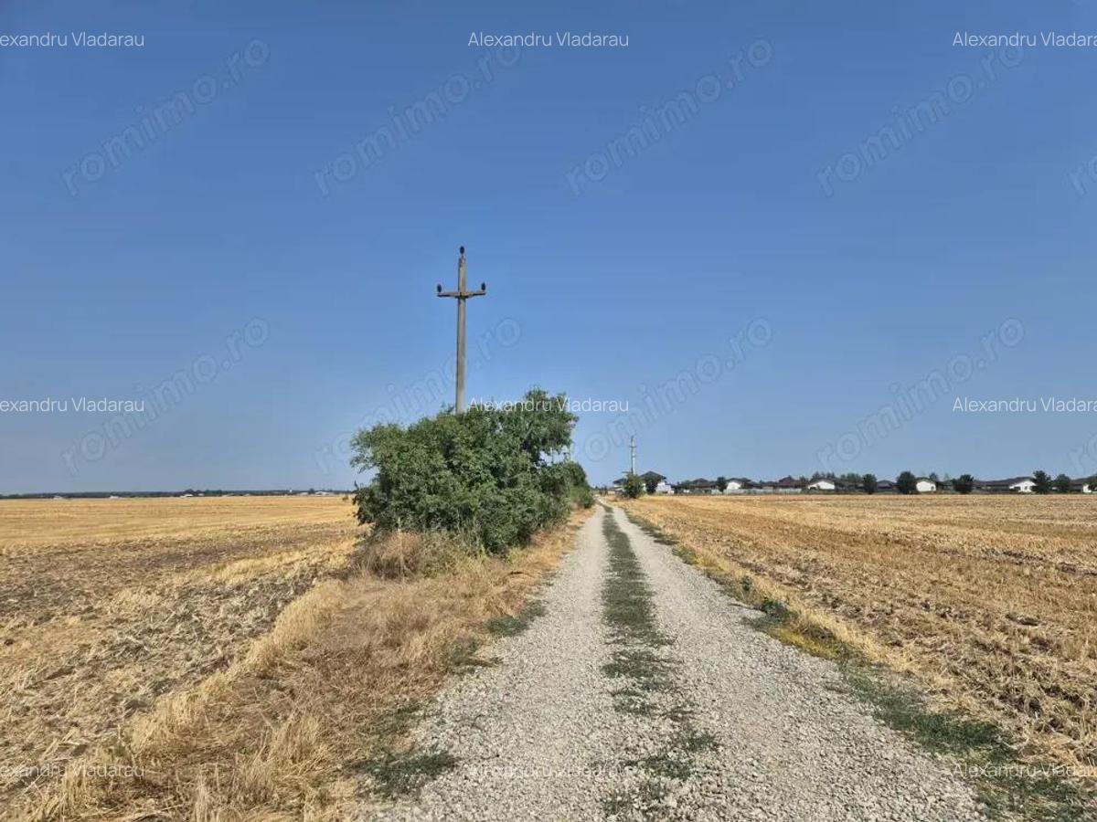 Teren intravilan 4428 mp - Balotesti - 3