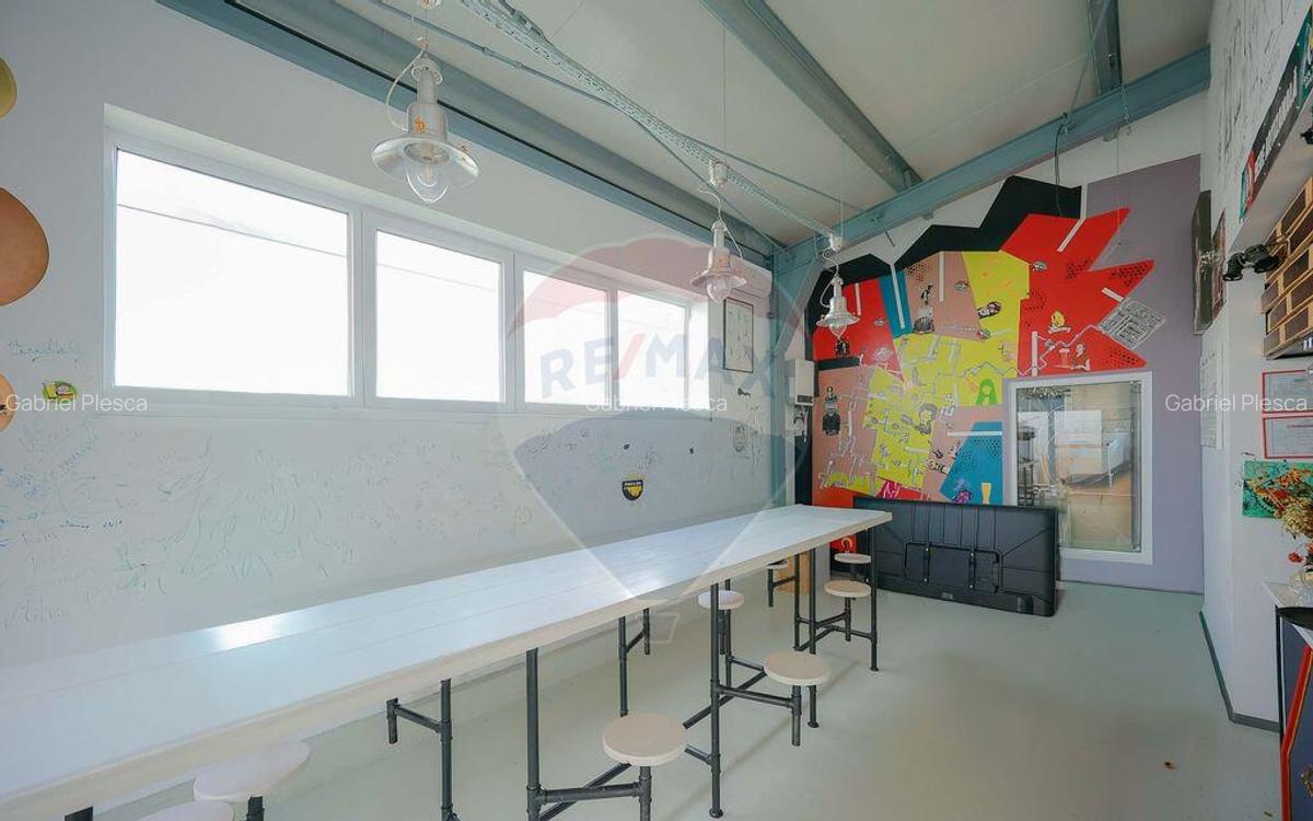 Hala industriala, Parcul Industrial Bor? II, De Vanzare - 12