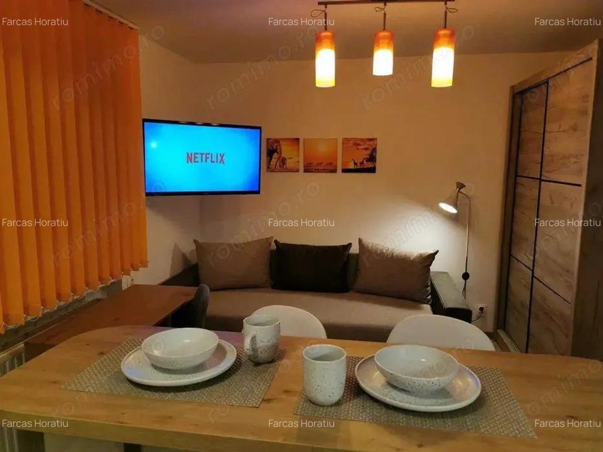 7 Noiembrie - Inchiriere apartament 1 camera - B-dul. 22 Decembrie 1989 - 2