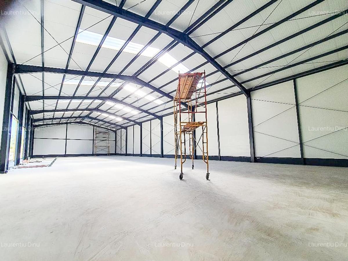 Hale,spatii industriale Albota,Pitesti Arges - 18