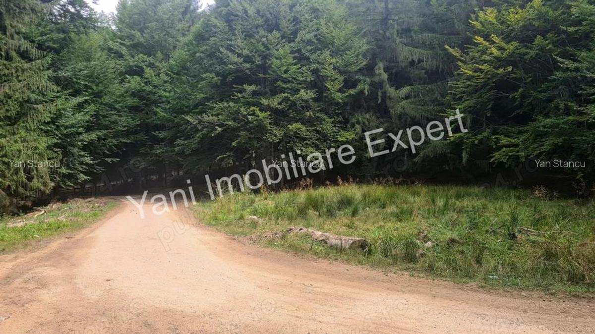 Teren de vanzare in apropiere de Transfagara?an ?i Valea Valsanului. - 15