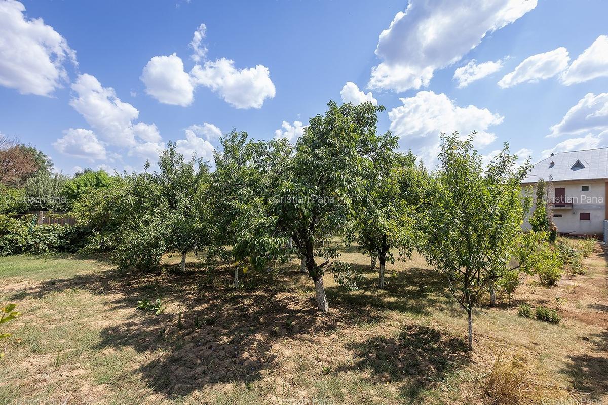 Balotești, 5 Camere, 200 mp utili, 1250 mp, într-o locație rară - 32