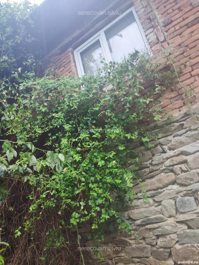 Casa de vanzare comuna Brusturi judet Arad - 4