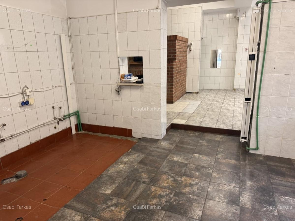 Spatiu Comercial, alimentatie publica, 200 MP, ultracentral - 7