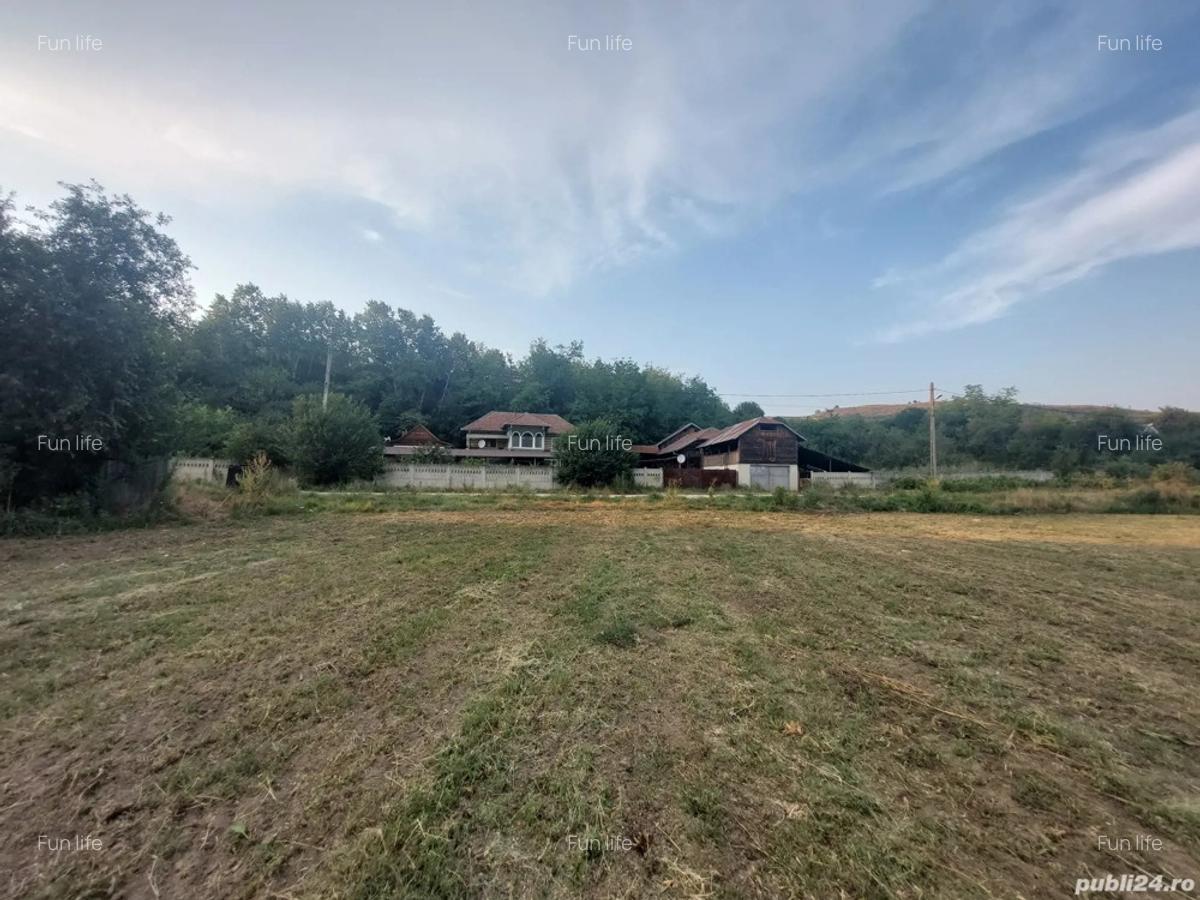 Casa sat Mehedinti - 5