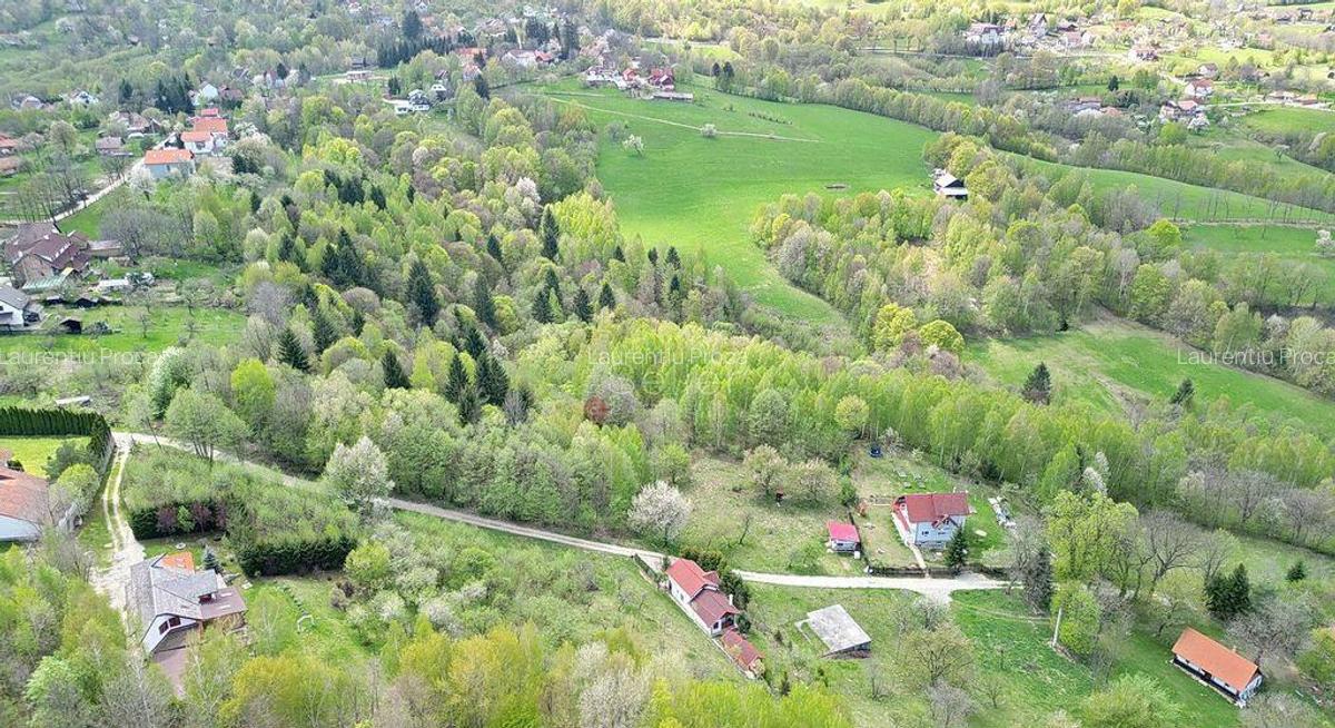 Teren intravilan Bran- Predelut - 9