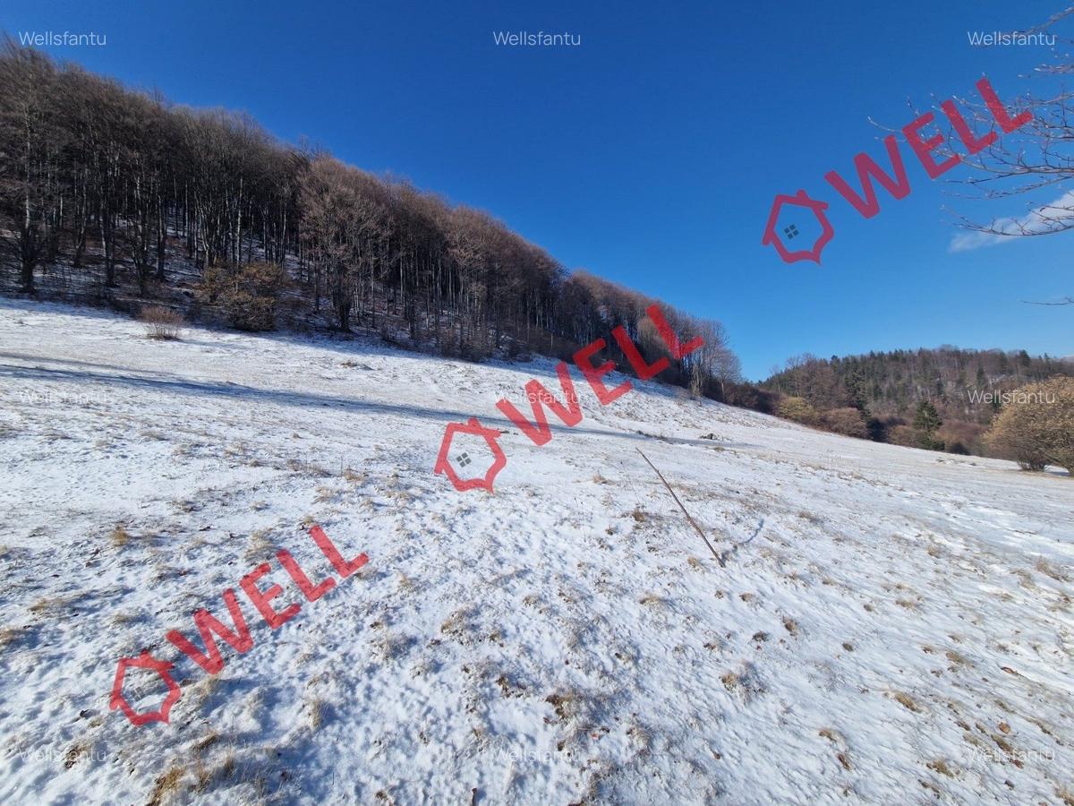 De vânzare teren extravilan în Vama Buzăului! - 2