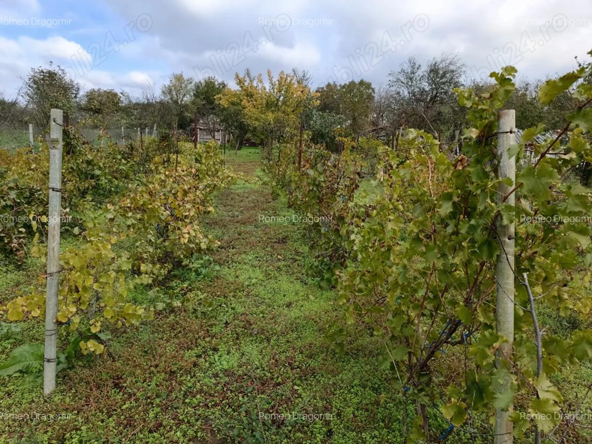 Casa Tudor Vladimirescu Galati - 9