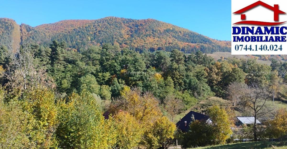 3600 mp teren intravilan, sat Bistrita, 16 Euro/mp - 8