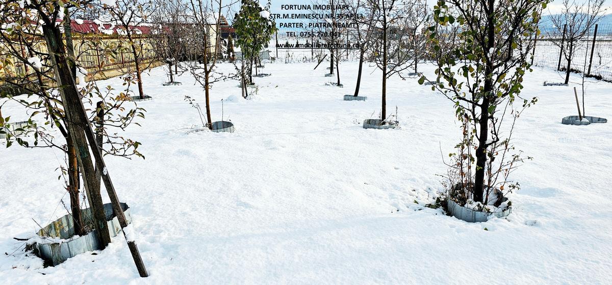 Proprietate com.D-va Rosie,Vila P+E,teren si livada, in cadru natural atractiv - 18 Proprietate com.D-va Rosie,Vila P+E,teren si livada, in cadru natural atractiv - 18