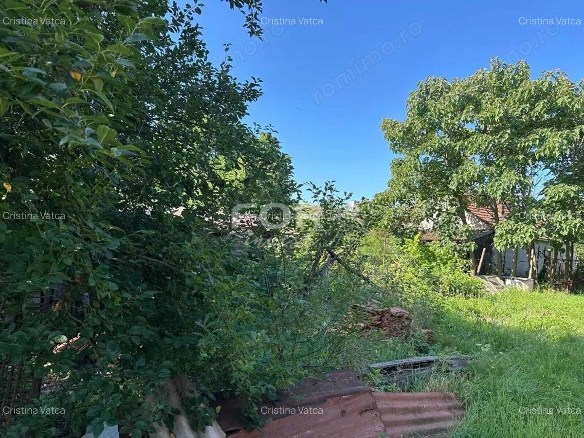 Teren intravilan de vanzare 3000 mp comuna Tamaseu Bihor - 3