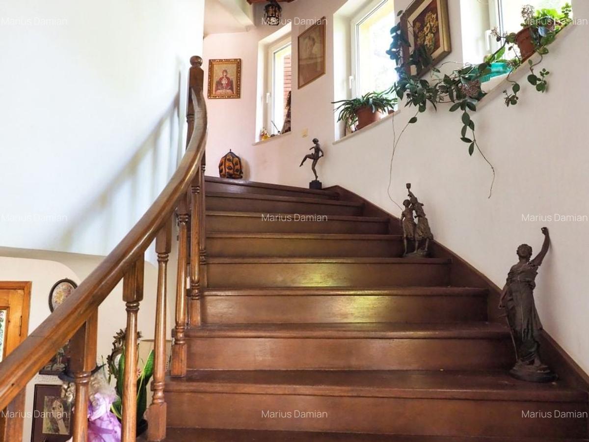 VILA 6 CAMERE SNAGOV IZVORANI LAC -TEREN 1800mp - 5